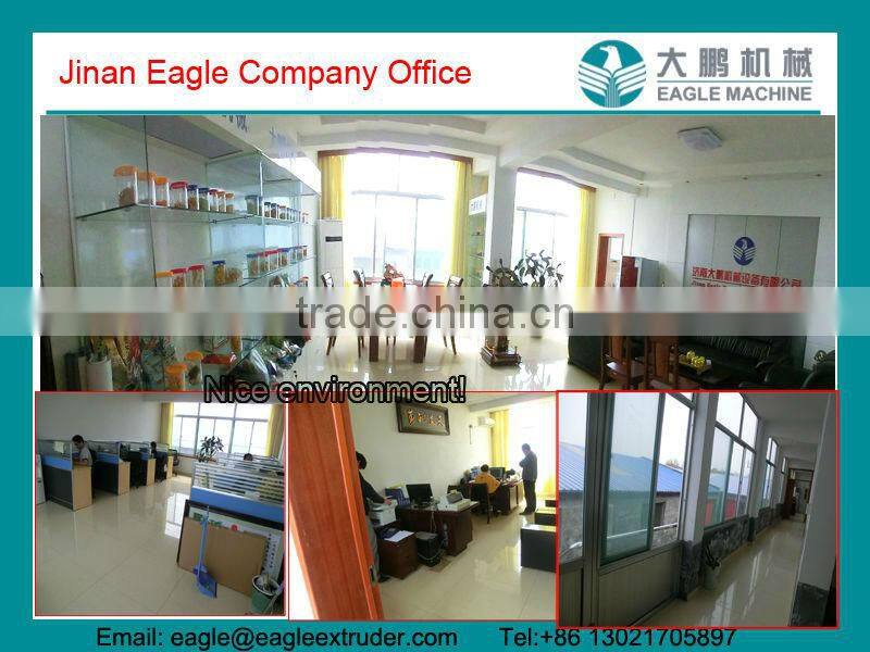 fresh potato chips processing line