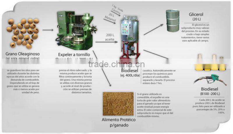 30 TPD biodiesel oil plant