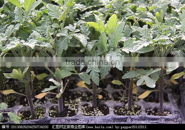 Professional manufacturer High reflective fodder growing trays