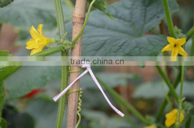 Kraft Paper Twist Rope For Automatic Binding Tools