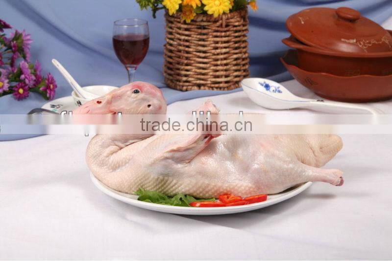 animal health dry pet food for dogs