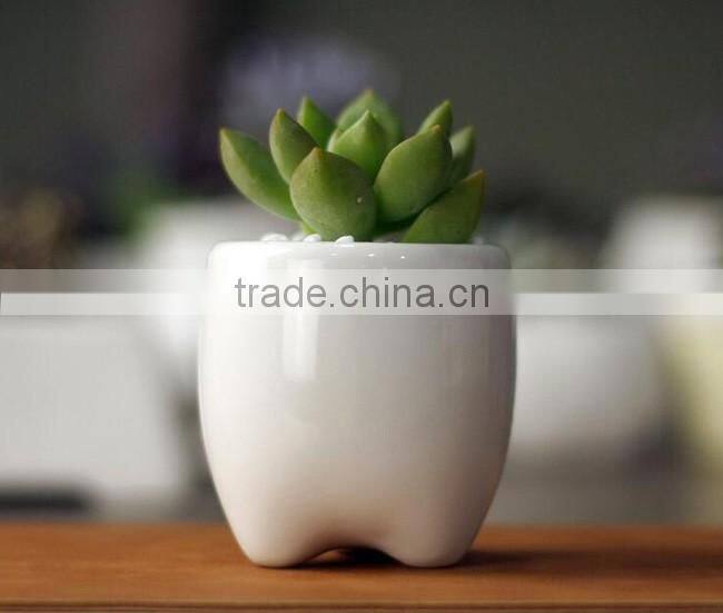 Zakka indoor mini tooth-shaped ceramic white flower pot for succulents
