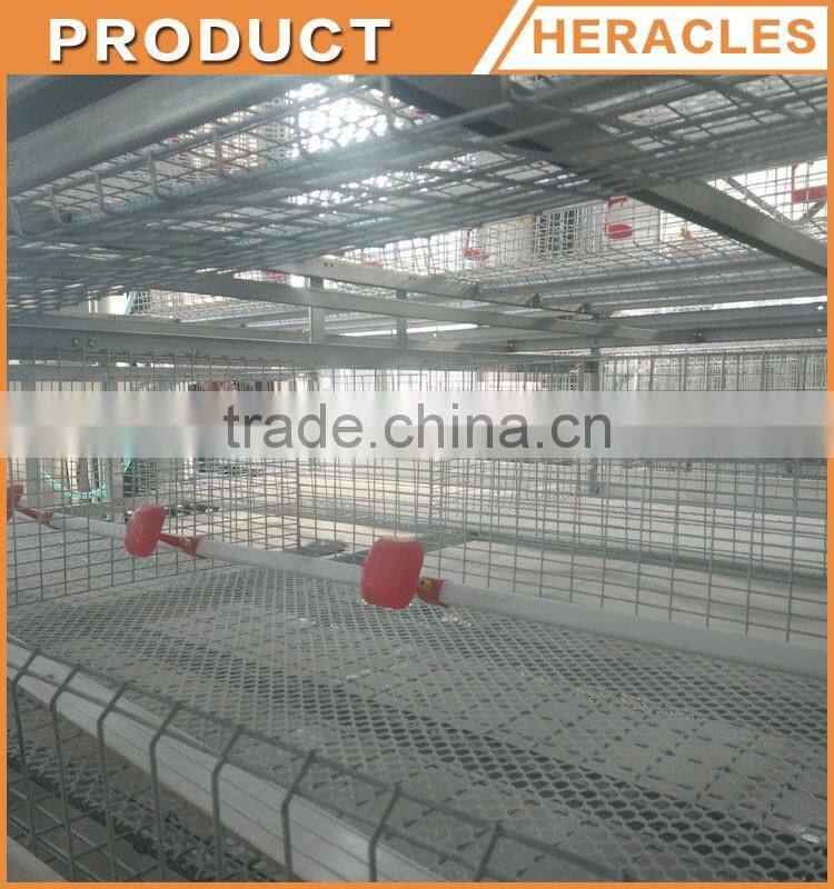 Shandong Heracles trade assurance equipment poultry layer chicken cage for sale