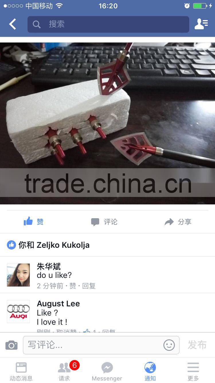 2016 New Broadheads 100 Grain Arrow Tips Points Hunt Shooting Games