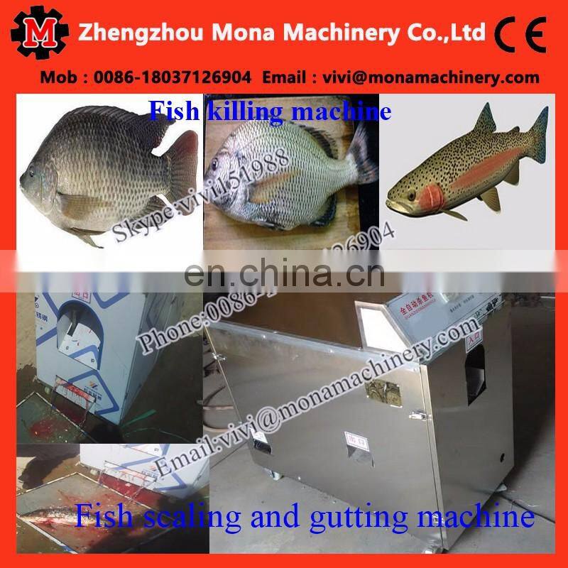 automatic small fish cleaning machine|anchovy fish killer machine|Tilapia gutting machine
