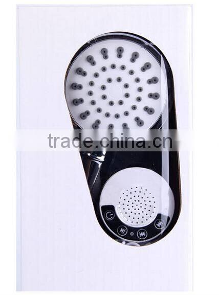 Bluetooth shower head