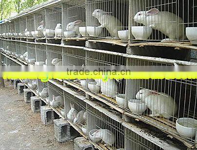 2014 newly designed different sizes durable commercial rabbit cages