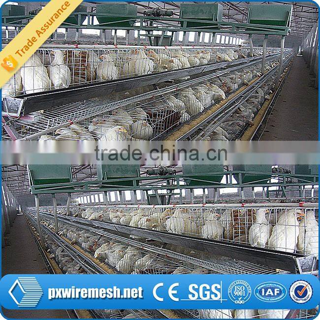 chicken farm equipment