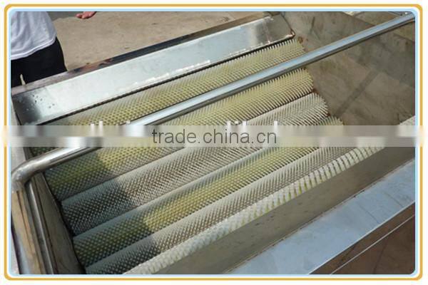 leaf vegetable carrot onion potato brush washing machine