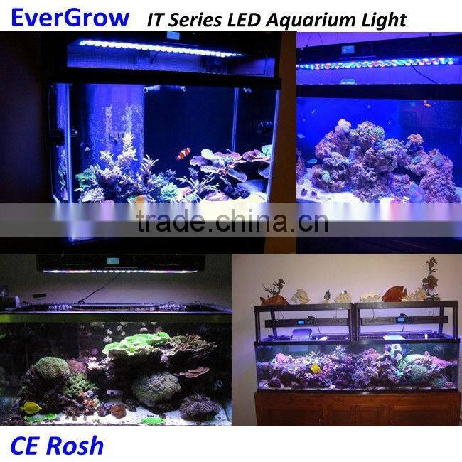 Evergrow d120 120w dimming led aquarium lights and dimmable 165 watt led aquarium lights