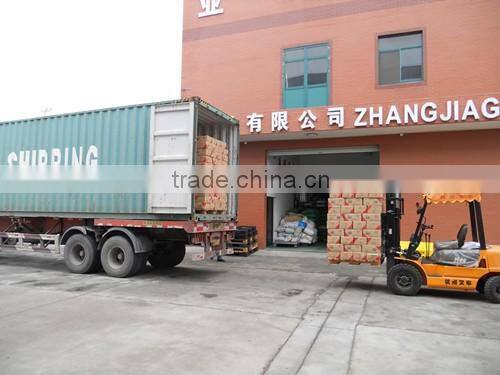 wholesale disposable plastic CPE gloves for householed