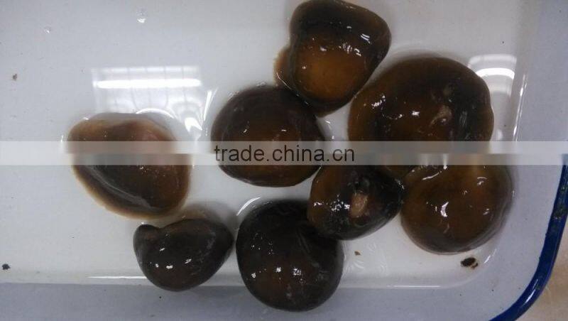 2840g Easy open Canned Shiitake Mushroom Whole