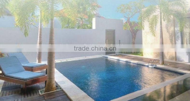 wall-hung pipeless swimming pool filter/swimming pool filter of water system/swimming pool product