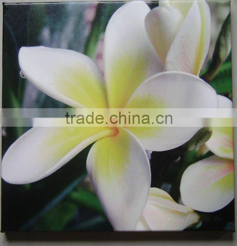 hotsale lily canvas prints