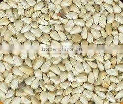 Safflower Seed