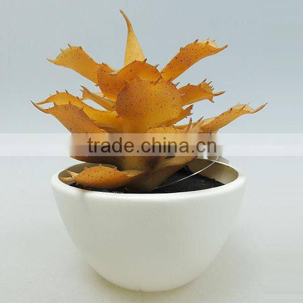 new model small ceramic pot plants for office decorating