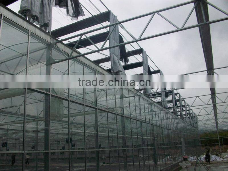 multi span commercial glass greenhouse greenhouse