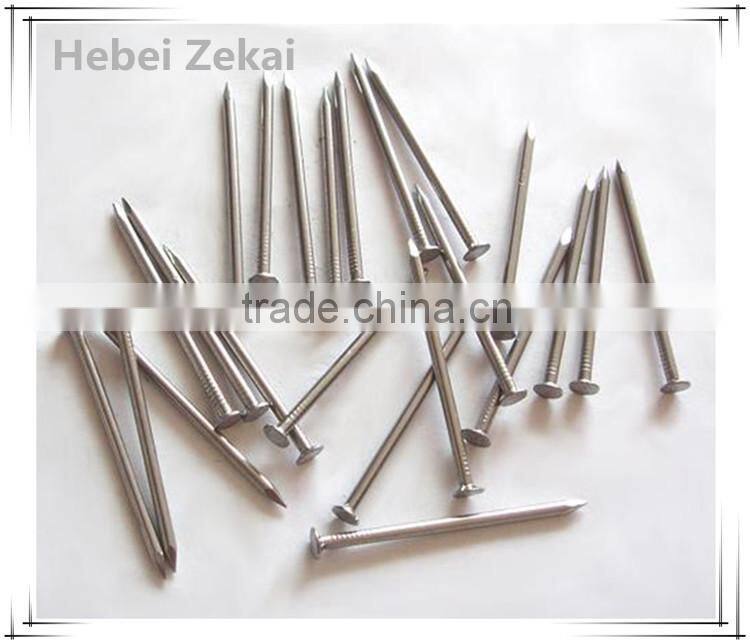cheap price galvanized common nails for wood/furniture