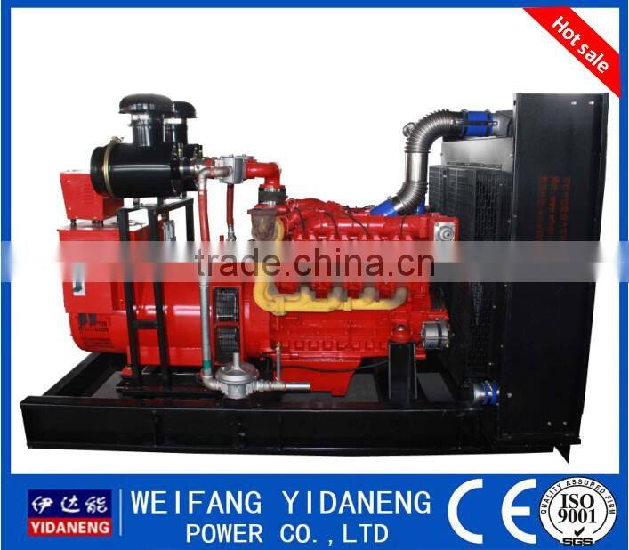 Yidaneng Power 300kw Biogas generator suppiler