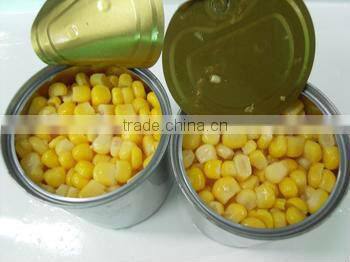 Canned Sweet Corn Canned Vegetable with High Quality
