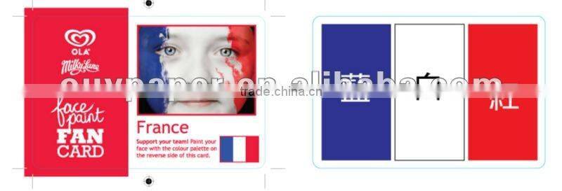 HOT Sporting colorful face paint card Sport supplies Europe Cup