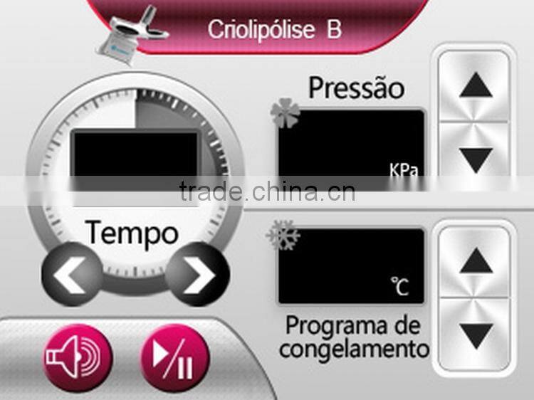 2 In 1 Vacuum Cryolipolysis Beauty Slimming Salon Device