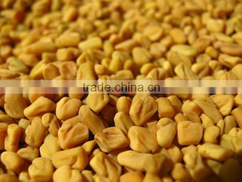 fenugreek