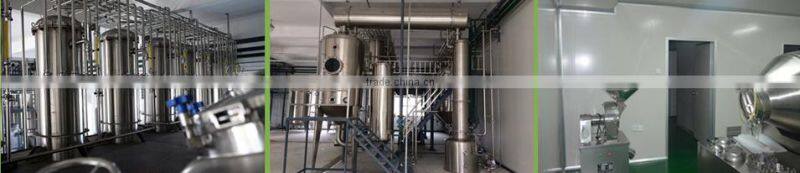 Giant Knotweed Extract Powder