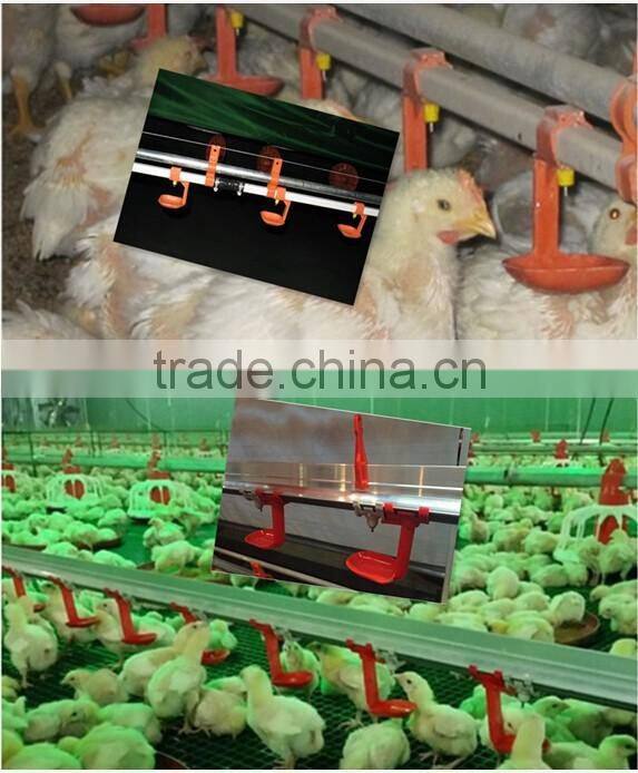 automatic poultry watering system for chickens