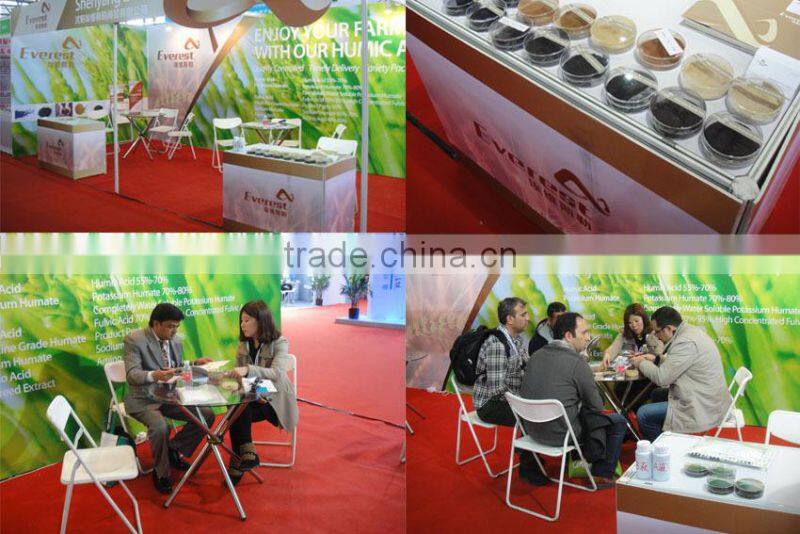 High Quality Sodium Humate Granule with 100% water solubility