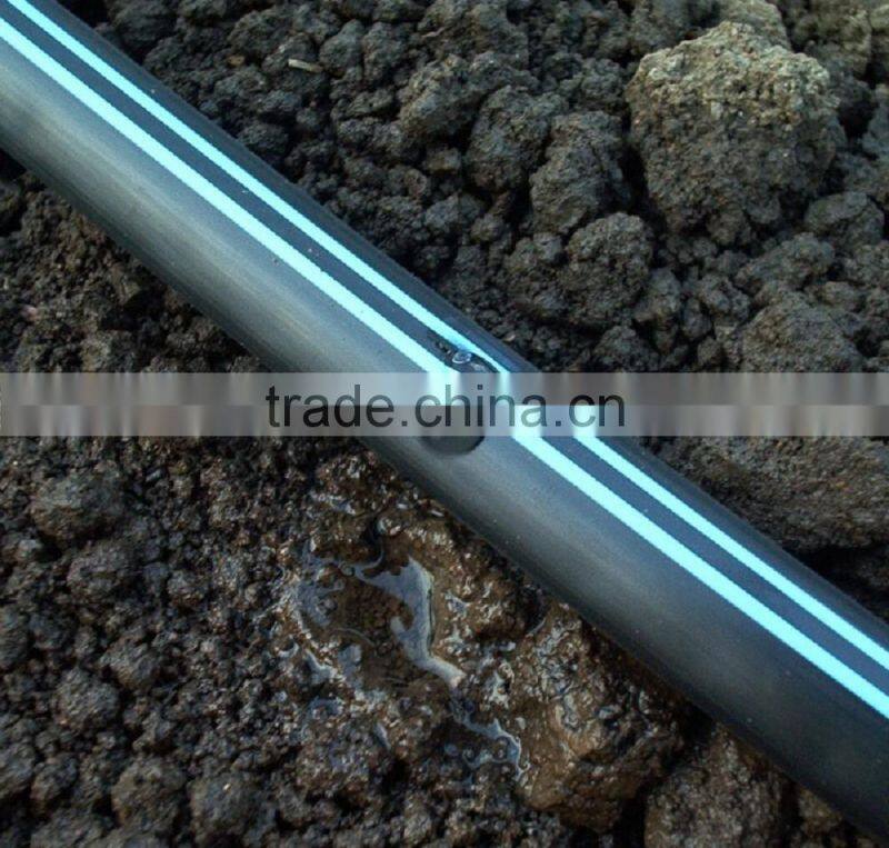 Linear type double line drip tape for drip irrigation system