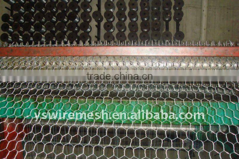 Chicken Wire Netting/Hexagonal Wire Netting/Poultry Hexagonal Mesh