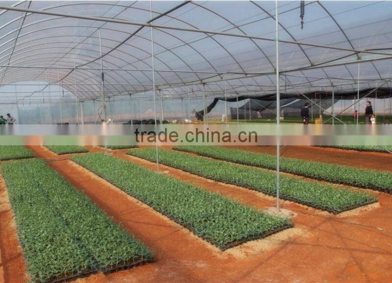 Good daylighting glasshouse big shed,greenhouse for agriculture,frp hothouses from alibaba suppliers