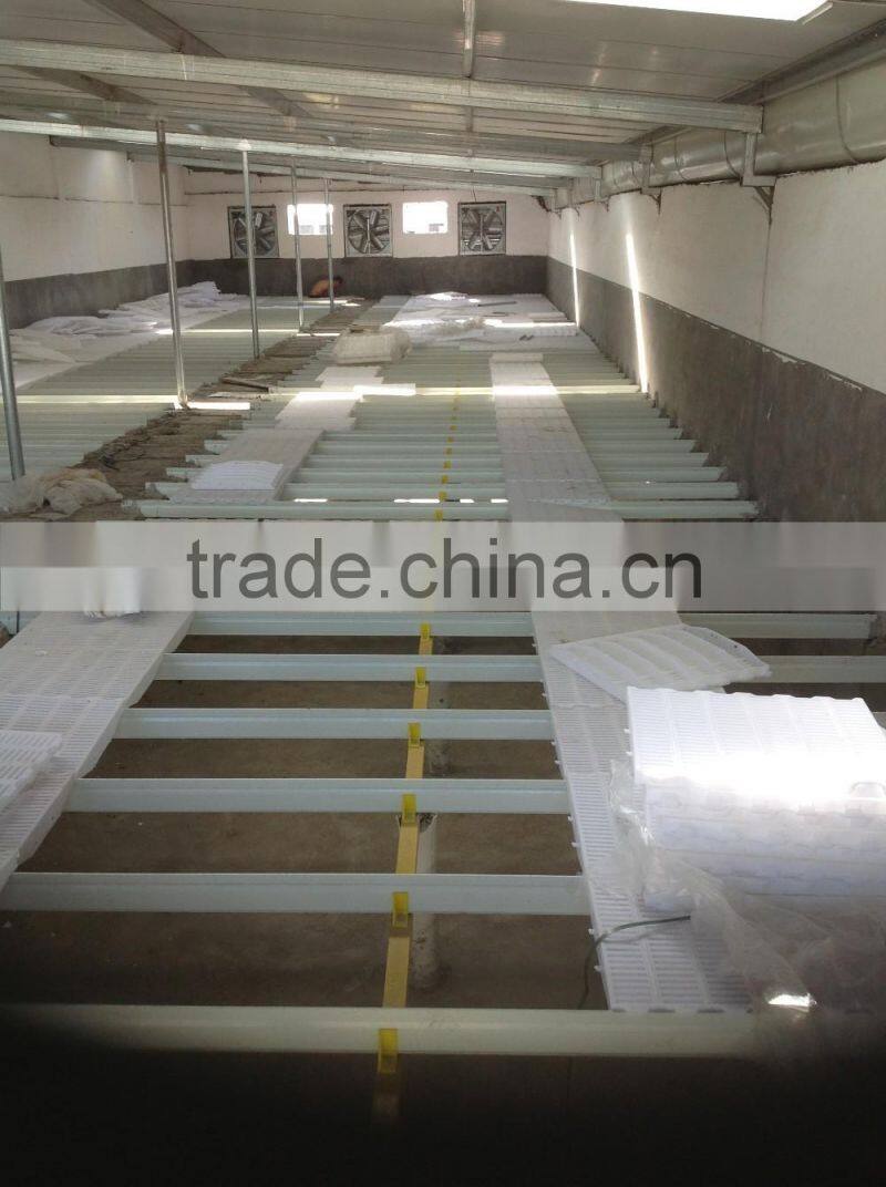 pigs equipment / pigs farm floor /piglet support beam