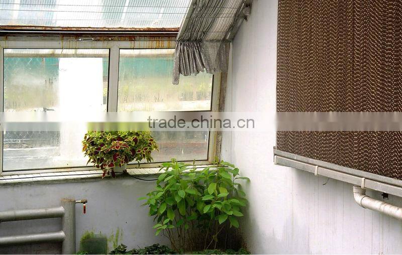 DLF poultry cooling pad system of china
