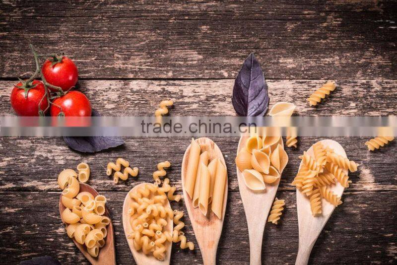 China small scale industrial macaroni making machine pasta machine
