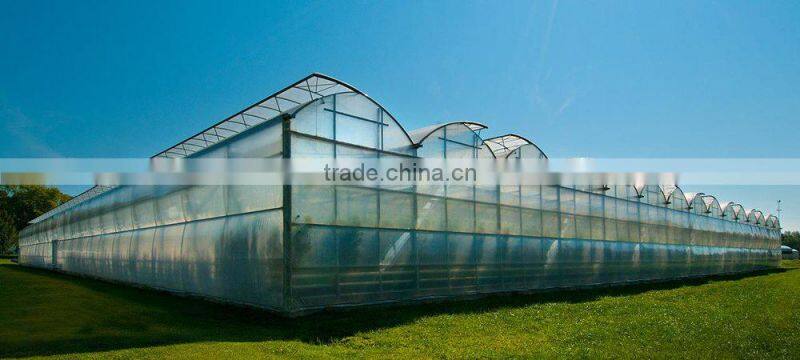 RoughBrothers PolyArch-RD2 Muli-span Galvanized Steel Frame Agricultural greenhouse