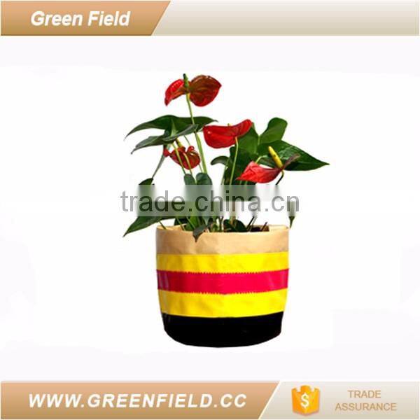 Eco friendly home garden planter pot