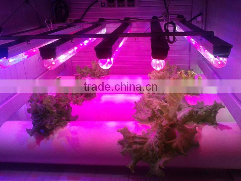 Best Led Grow Light Brands Vanqled for Indoor Plant Growing Lights Tubes 20w T8 4ft