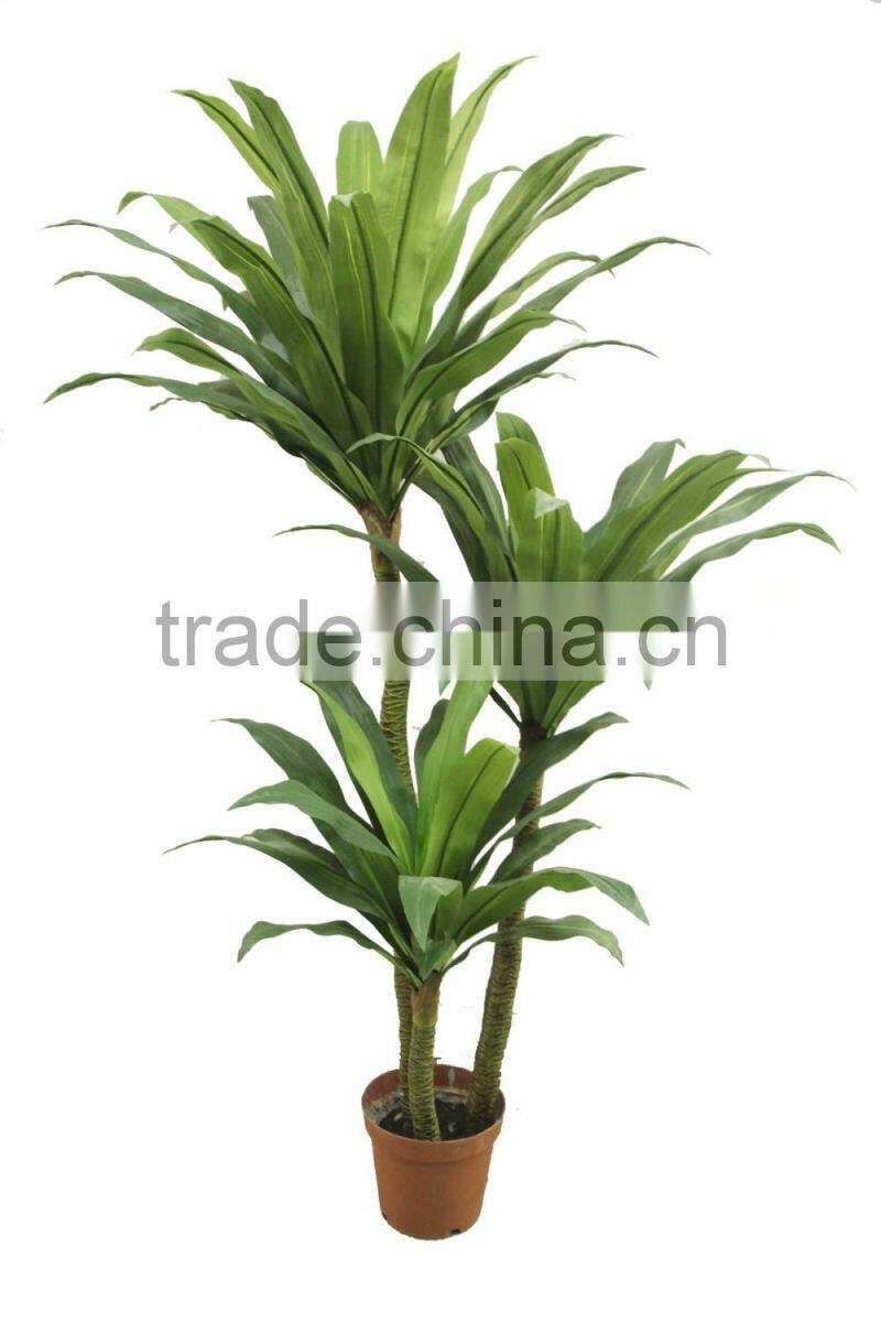Hot sale HX010422 Brazilan lucky tree
