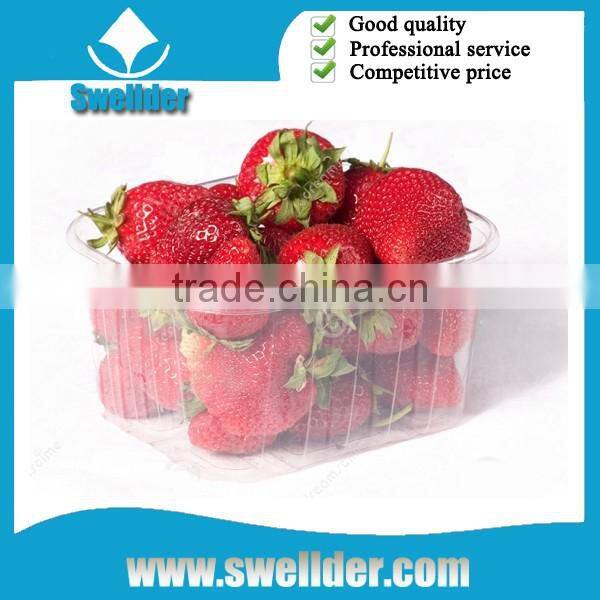 OEM blister strawberry plastic tray