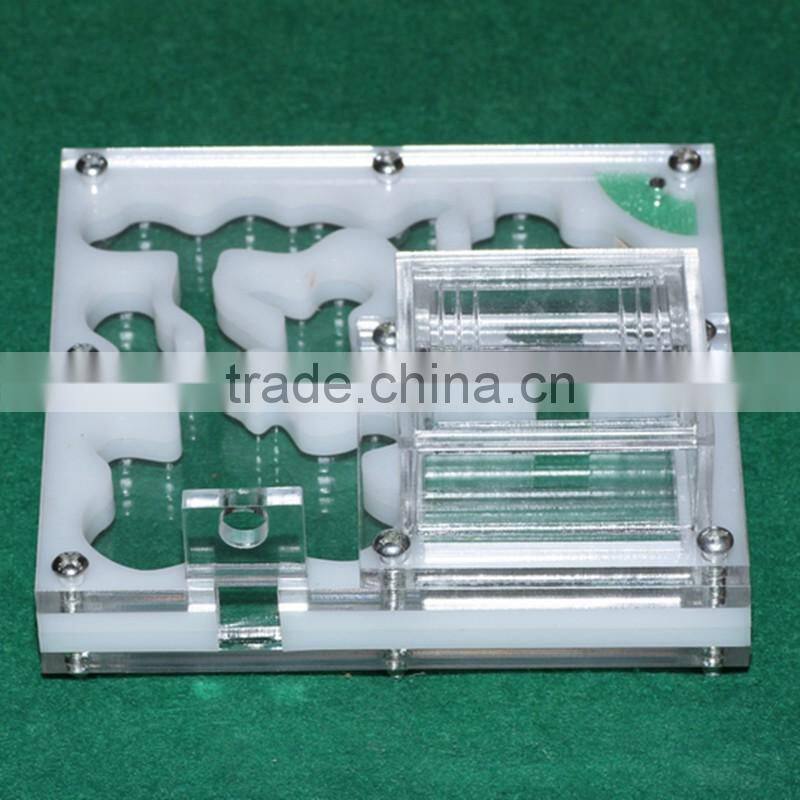 Acrylic Reptile Display Case