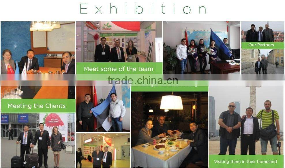 Good price fresh white kidney beans manufactory all kinds of beans from china stair