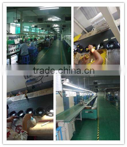 pro car subwoofer speaker