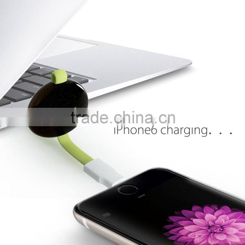 cheap portable 8 pin usb sync data/charging cable for iphone 5