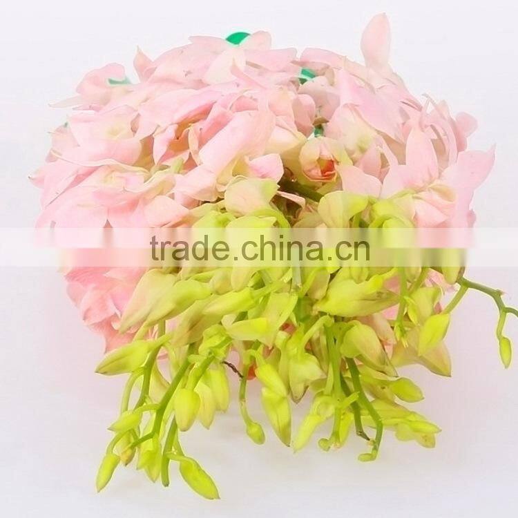 Durable best sell fresh pink color cattleya orchid