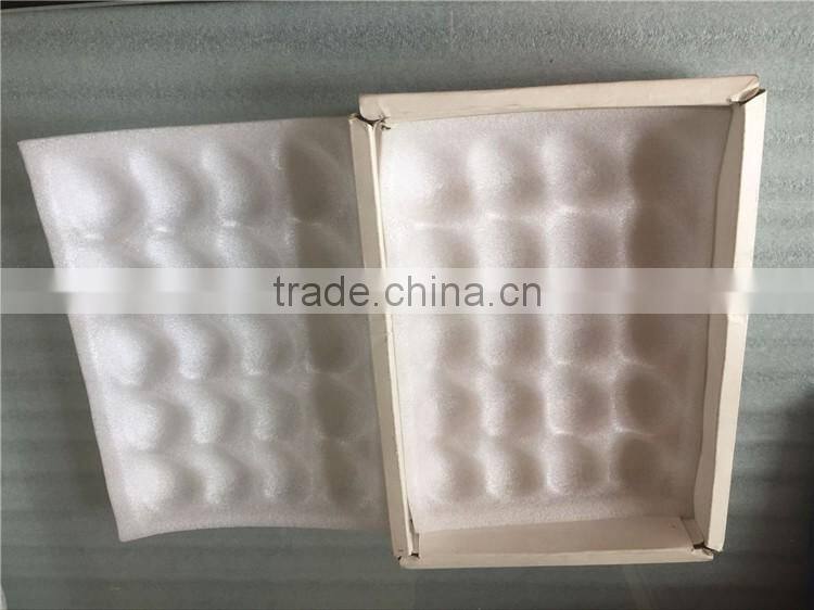 Biodegradable Plastic Thermoforming Fruit Packaging Tray