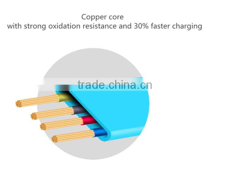 Copper Core 2-in-1 Micro USB and USB C Leather Cable