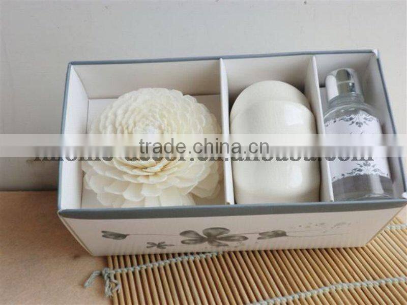 100ml ceramic aroma diffuser/aroma reed diffuser /home fragrance diffuser