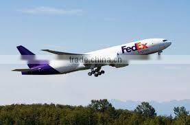 Oudh Oil Kuwaiti Grade